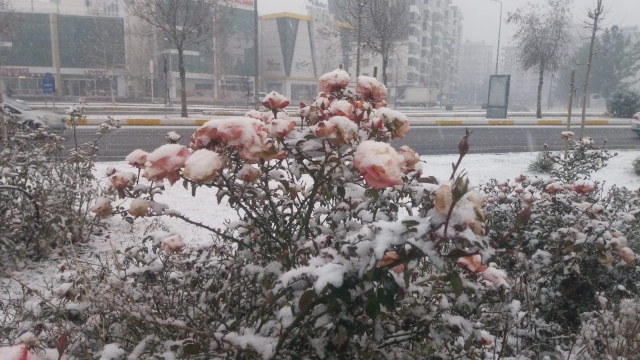 Diyarbakır beyaza büründü