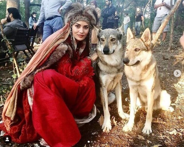 Fahriye Evcen kurtlarla poz verdi!