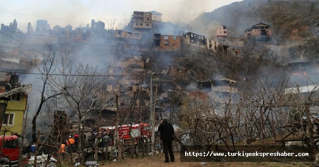 Artvin'de çıkan yangında çok sayıda hane alevlere teslim oldu