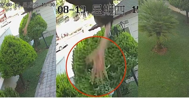 Duygu Delen'in ölümüne ilişkin olay yerinde keşif yapıldı!