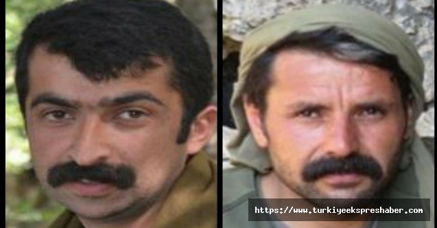 ‘Kırmızı’ kategoride aranan PKK’nın sözde Mardin sorumlusu etkisiz hale getirildi