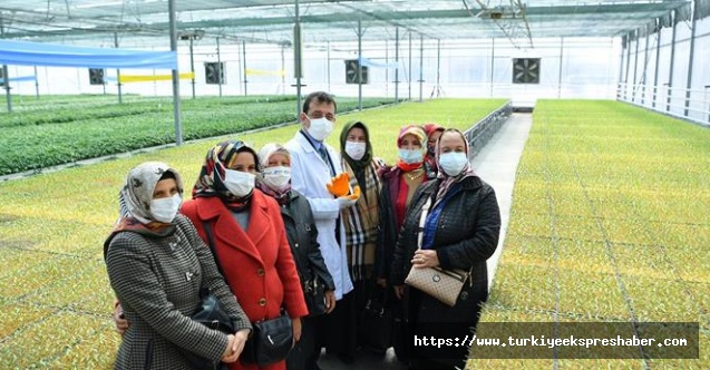 BU YILIN FİDELERİNİ DAĞITACAK İLK TIR YOLA ÇIKTI İMAMOĞLU: “ÜRETEN TÜRKİYE KAZANIR; EVDE BEKLEYEN TÜRKİYE DEĞİL”