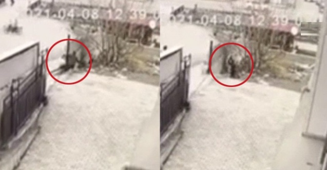 Polisten kaçan yankesici tepetaklak düşünce yakalandı