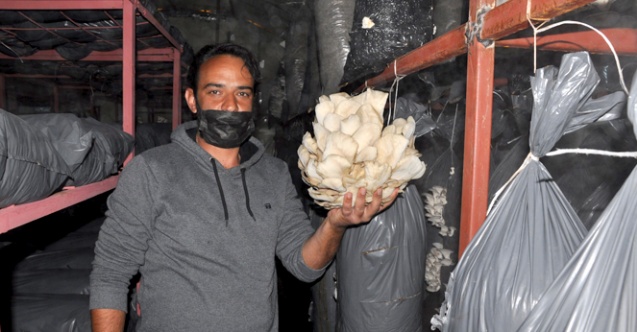 Tır şoförlüğünden mantar üretimine