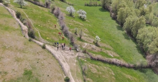 Bingöl'de kaybolan yaşlı adam 15 gündür aranıyor