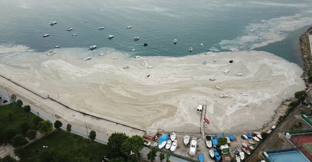 İstanbul'da müsilaj temizleme çalışmaları hız kesmeden devam ediyor!