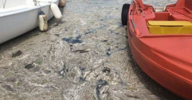 Müsilaj temizliğini Bakan Kurum paylaştı