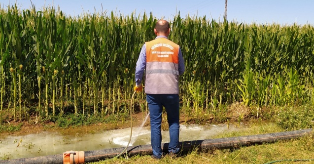 Sineksiz bir yaz için larvayla mücadele devam ediyor!