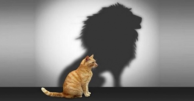 Zamanın hastalığı ‘Narsist Kişilik Bozukluğu’