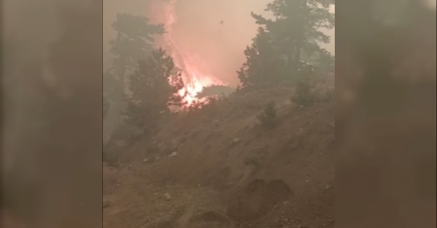 Alevlerin arasında kalan itfaiye ekipleri zor anlar yaşadı