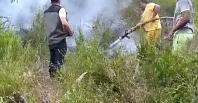 Andırın’da orman yangını