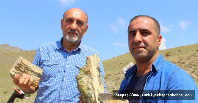 Erzurum’da 160 milyon yıllık keşif