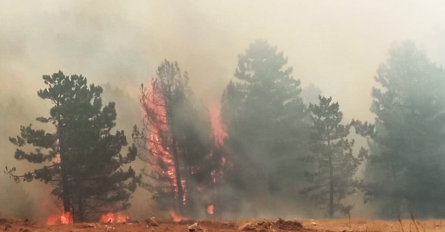 Muğla’da dört ilçede yangınlar devam ediyor