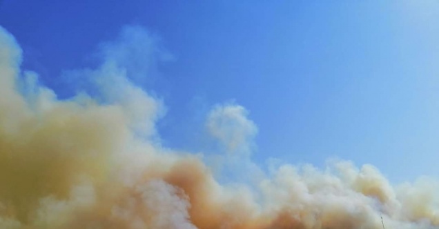 Suriye’deki orman yangını yerleşim bölgelerine yaklaştı