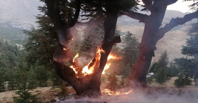 Yıldırım düştü yangın büyümeden söndürüldü