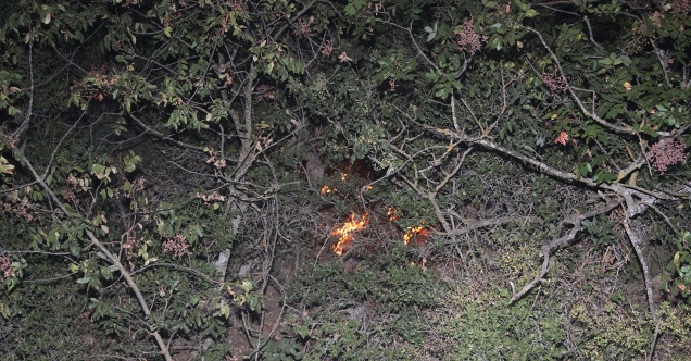 Zeytinlikte çıkan yangın, zamanında müdahale ile büyümeden kontrol altına alındı