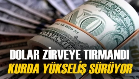 Dolar 29, Euro 32 TL sınırında