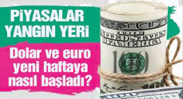 Dövizin ateşi çok yüksek