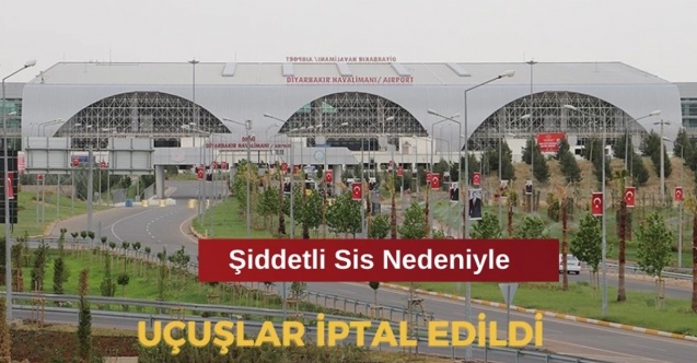 Diyarbakır'da sis nedeniyle uçuşlar iptal edildi