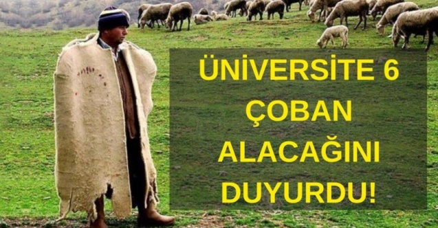 Dicle Üniversitesi, kadrolu çoban arıyor