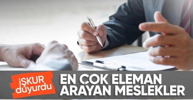 Türkiye'de en çok aranan ve iş bulunan meslekler sıralandı