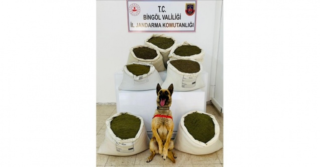 150 kilo uyuşturucu ele geçirildi