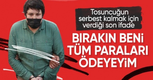 Çiftlik Bank davasında yeni gelişme: Tahliye edilirsem zararları karşılarım