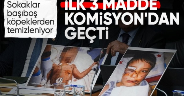 Sahipsiz hayvanlara yönelik kanun teklifinde ilk 3 madde kabul edildi