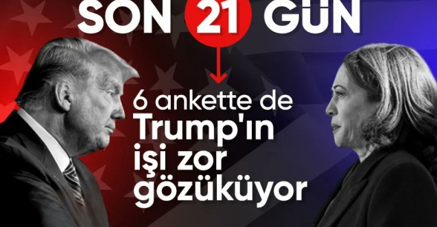 Trump-Harris yarışında anketlerde kim önde?