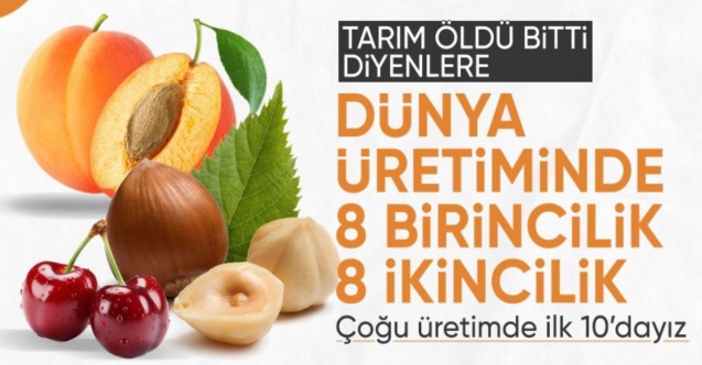 Türkiye tarımsal üretimde dünyada ilk sıralarda