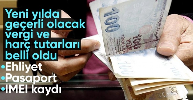 2025 ehliyet ücreti, pasaport harcı ve IMEI kayıt ücreti belli oldu