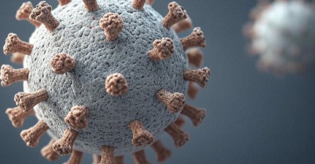 Maymun Çiçeği virüsünün yeni varyantı tespit edildi