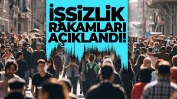 İşsizlik oranı Kasım 2024'te yüzde 8,6 oldu
