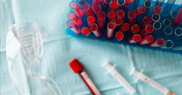 Kalp hastalıklarının tedavisi için "kalp kası yamaları" geliştirildi