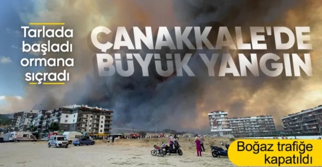 Çanakkale'de orman yangını: Alevler hastaneye yaklaştı