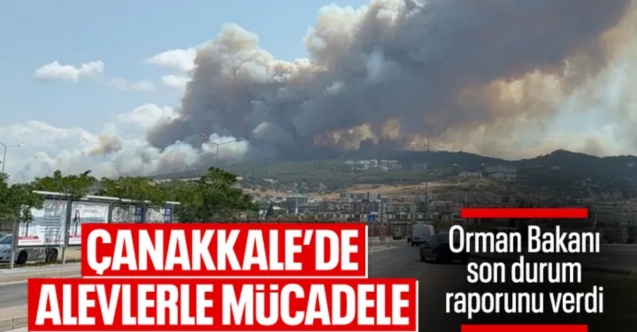 İbrahim Yumaklı: Çanakkale'deki yangınlar büyük oranda kontrol altına alınmıştır