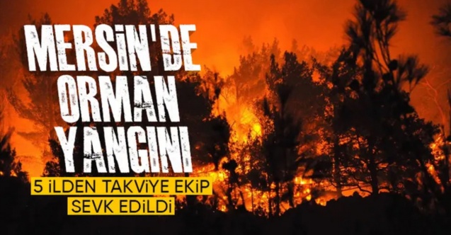 Mersin’de orman yangını büyüyor: 5 ilden takviye ekip sevk edildi