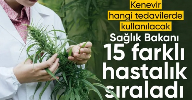Tedavisinde tıbbi kenevir kullanılan 15 hastalık