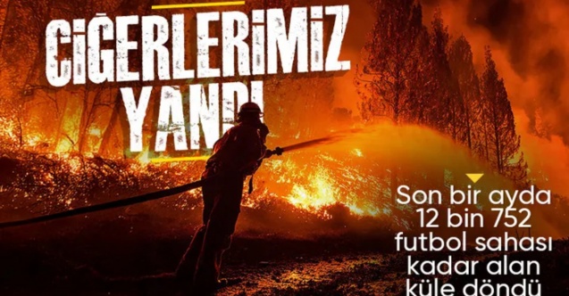 Türkiye'de bir ayda 12 bin 752 futbol sahası büyüklüğünde orman yandı