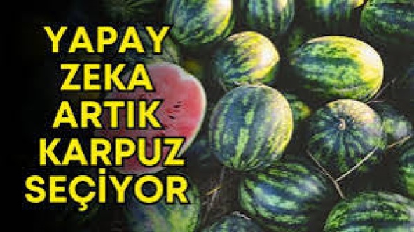 Yapay zeka ile karpuz seçimi
