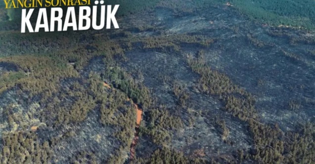 Karabük yangınından geriye acı tablo kaldı