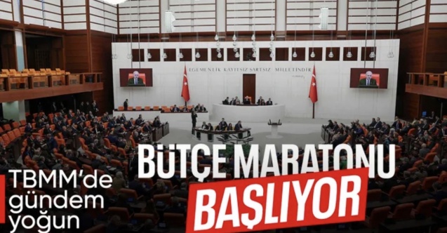 TBMM’de yoğun hafta: Komisyon toplantıları ve bütçe görüşmeleri gündemde