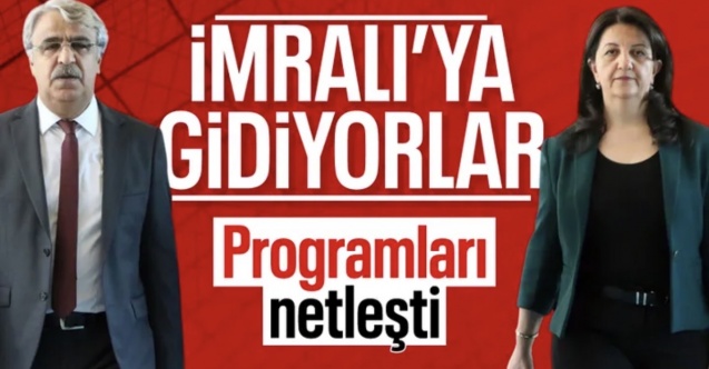 DEM Parti Heyeti, 3 Kasım'da İmralı'ya gidecek