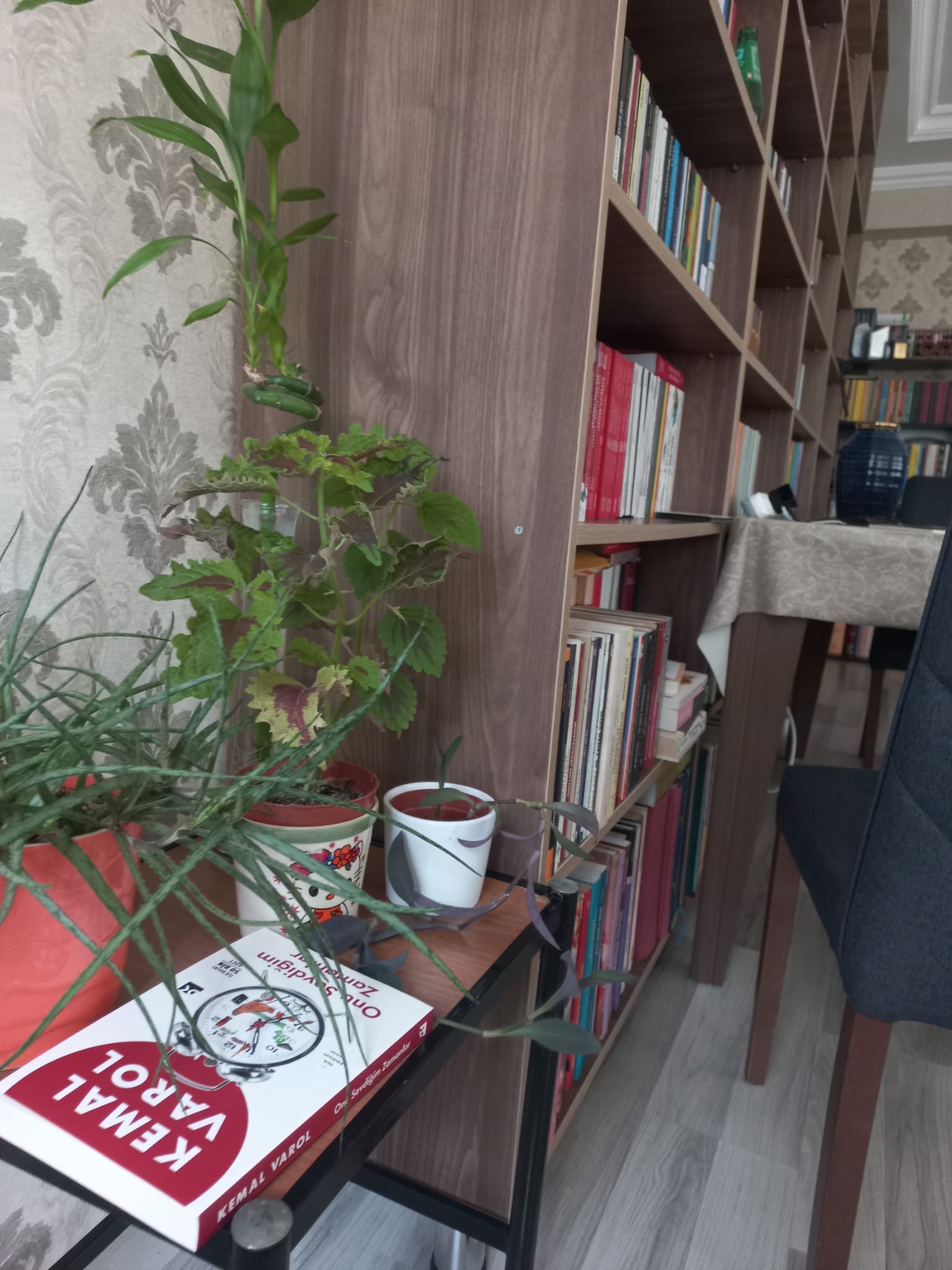 Kemal Varol Onu Sevdiğim Zamanlar  Pariste başlayan eser okuyucusunu farklı anlatı labirentlerinde gezdirdikten sonra sarsıcı bir finale ulaşır.