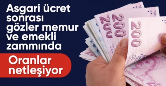 Memur ve emekli maaş zammı için gözler aralık enflasyonunda