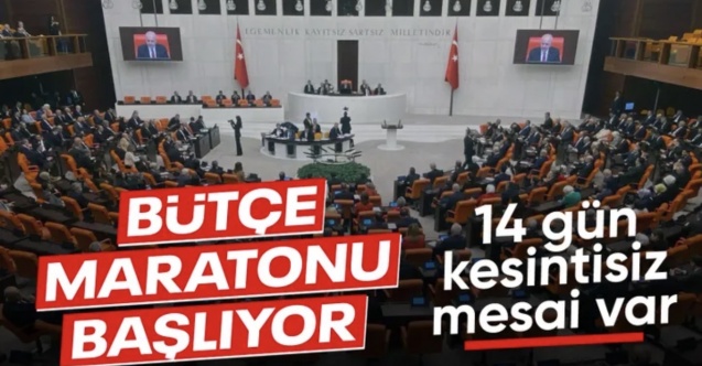TBMM'nin gündemi bu hafta da yoğun: Bütçe maratonu başlıyor