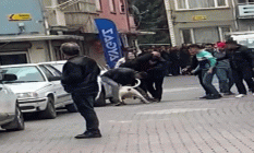 Malatya'da pitbull saldırısı