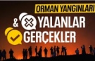 DMM, "Orman Yangınları ile İlgili İddialar ve Gerçekler" bülteni hazırladı