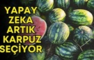 Yapay zeka ile karpuz seçimi