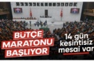 TBMM'nin gündemi bu hafta da yoğun: Bütçe maratonu başlıyor